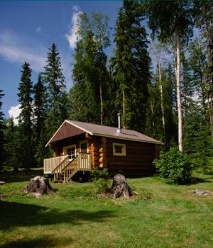 Peaceful Cove cabin