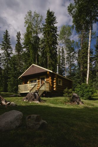 Cabin in the trees